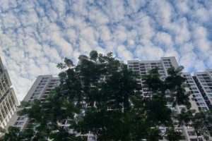 98 Lô Biệt Thự Green Villas