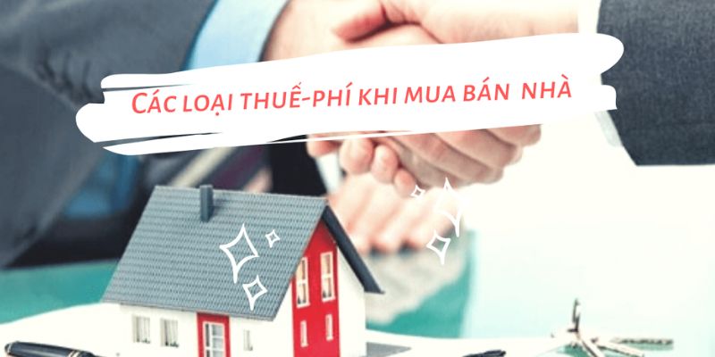 Tư vấn chính sách thuế về lệ phí chính sách thuế