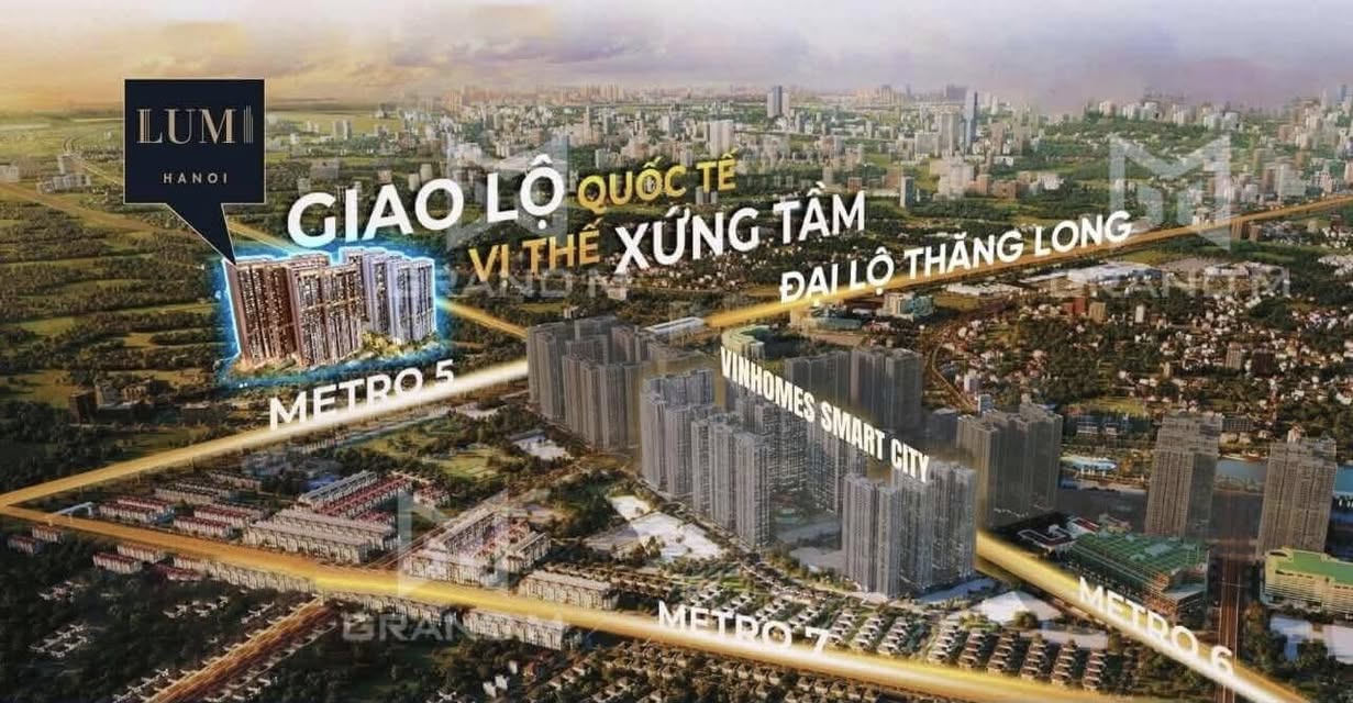 486576235_1225395678952771_7200459055145933606_n