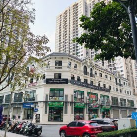 Nên chọn shop chân đế hay shophouse TMDV tại Vinhomes Smart City? Phân tích chi tiết cho nhà đầu tư & kinh doanh