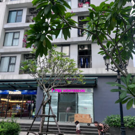 🏢 BÁN SHOP CHÂN ĐẾ TÒA I1 – IMPERIA SMART CITY TÂY MỖ SỔ ĐỎ LÂU DÀI